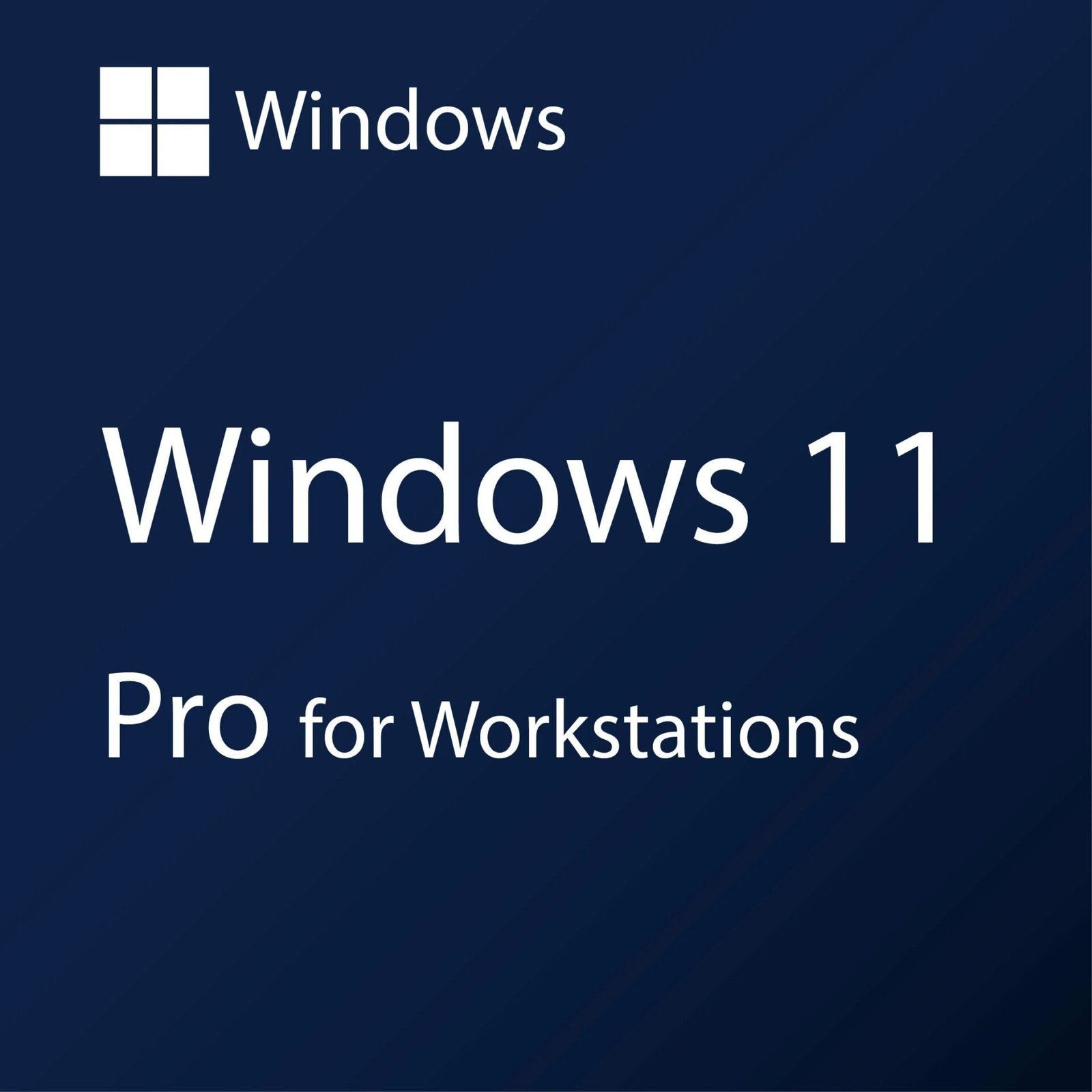 Digitrel Windows 11 Pro for Workstations